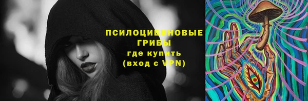 СК Алзамай