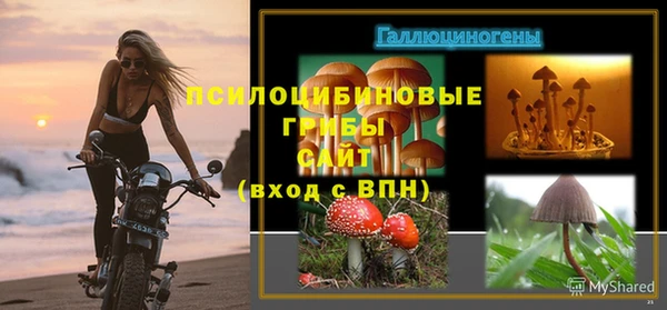 СК Алзамай