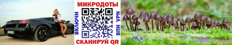 Псилоцибиновые грибы прущие грибы  Талдом 